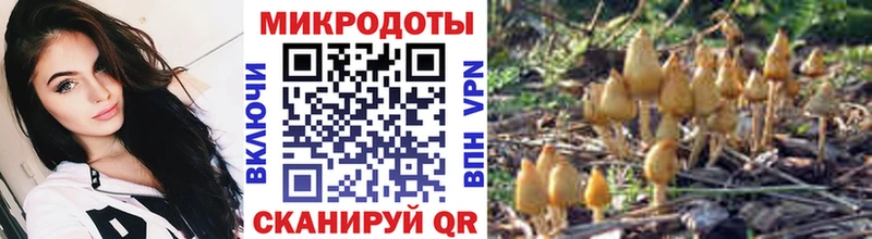 Псилоцибиновые грибы ЛСД блэк спрут Торжок