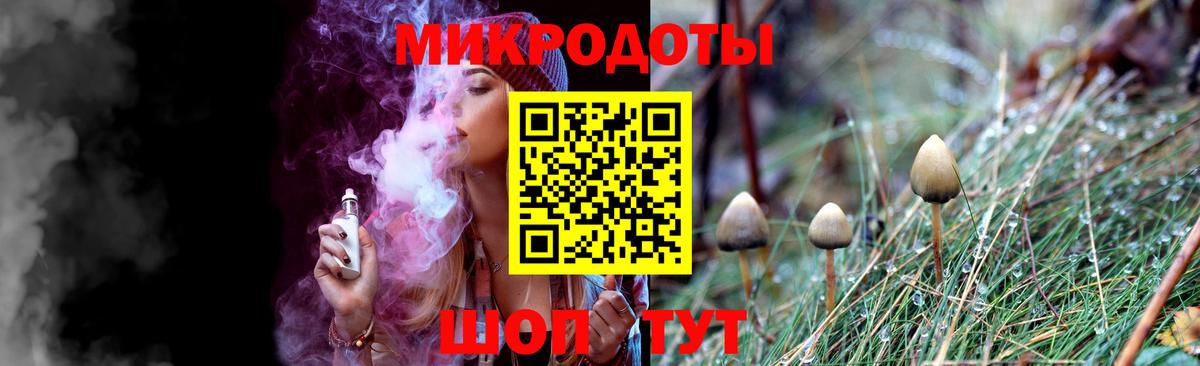 Торжок  Псилоцибиновые грибы Psilocybe  Вход с VPN 